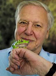 next David Attenborough