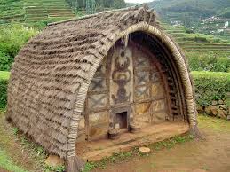 ... Nilgiris, India.