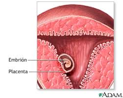 http://www.mdconsult.com/das/patient/body/0/0/10041/8610_es.jpg