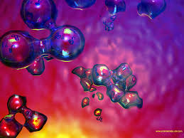 Organic Chemistry