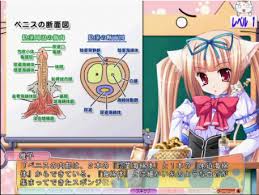 日本对青少年的性教育方式值得