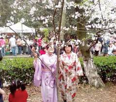 母女穿和服在武大樱园拍照遭十