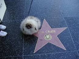 West Hollywood Photos - via Daymix
