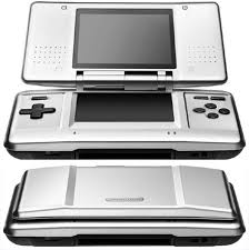 The Nintendo DS Double Screen