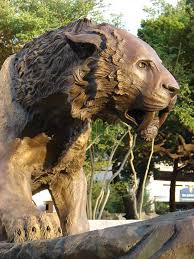   Sabre Tooth Cat   CLIENT