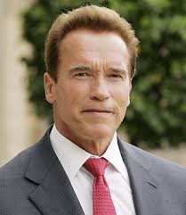 Image <b>schwarzenegger</b> Picture
