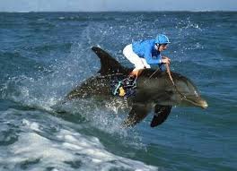 extreme sport