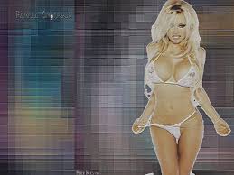   Pamela Anderson   Wallpapers    