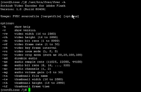 Flash Video with default - via Daymix