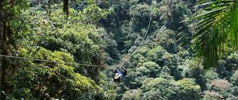 and Canopy Tours ~ General - via Daymix