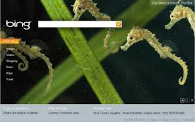 Microsoft Bing Screenshot - via Daymix