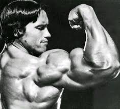 Arnold Schwarzenegger - via Daymix