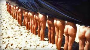 More about Nudists:
