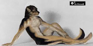 A humanoid German Shepherd