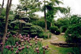 pureland japanese garden views