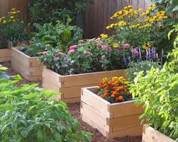 raised_beds-garden - via Daymix