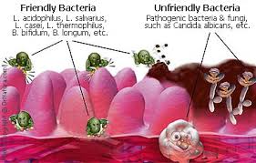 Taking a Probiotic supplement - via Daymix
