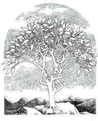 Splay Tree Demo - via Daymix