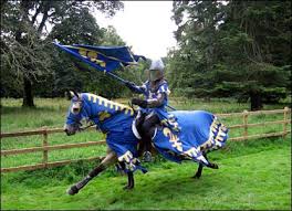 at jousting event