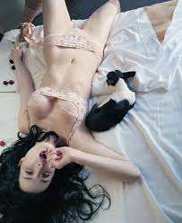About Dita Von Teese