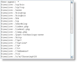 Create a Robots.txt File