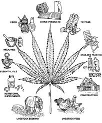 Marijuana Conspiracy - the - via Daymix