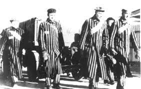 engaged in forced labor, - via Daymix