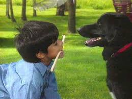      whose  only playmate   is his dog 