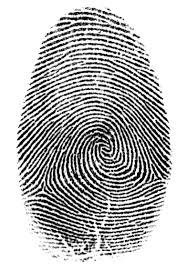 human fingerprints - via Daymix