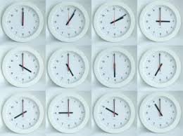 times every day (see Hack
