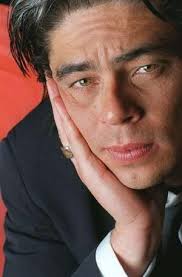 Benicio Del Toro