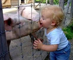 Where swine flu - via Daymix