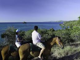 Horseback Riding &middot; Bike Riding