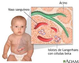 http://www.nlm.nih.gov/medlineplus/spanish/ency/images/ency/fullsize/21724.jpg