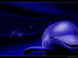   Cool   Blue 216kb 