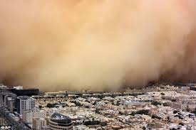Lashed by Sandstorm - via Daymix