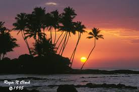 image c101195_01_14-Hawaii- - via Daymix