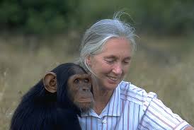 Jane Goodall at Centrepointe - via Daymix