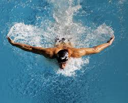 Swimming wallpapers