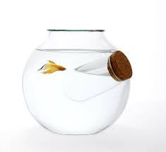 fishbowl-chill-out-warm-up