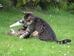 Here x26s me  fighting   my brother