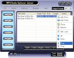   Free download   from Shareware    