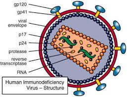 an opportunistic infection - via Daymix
