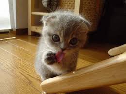 How cute!