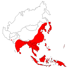 http://www.cdc.gov/ncidod/dvbid/images/Jemap.gif