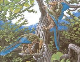 A pair of nesting  Archaeopteryx  