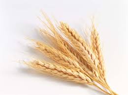 whole grain options (e.g. - via Daymix