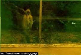 Web Portal PERSI  Hantu   UiTM