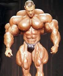 About Professional Body Builders