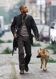 Learning from I Am Legend and - via Daymix